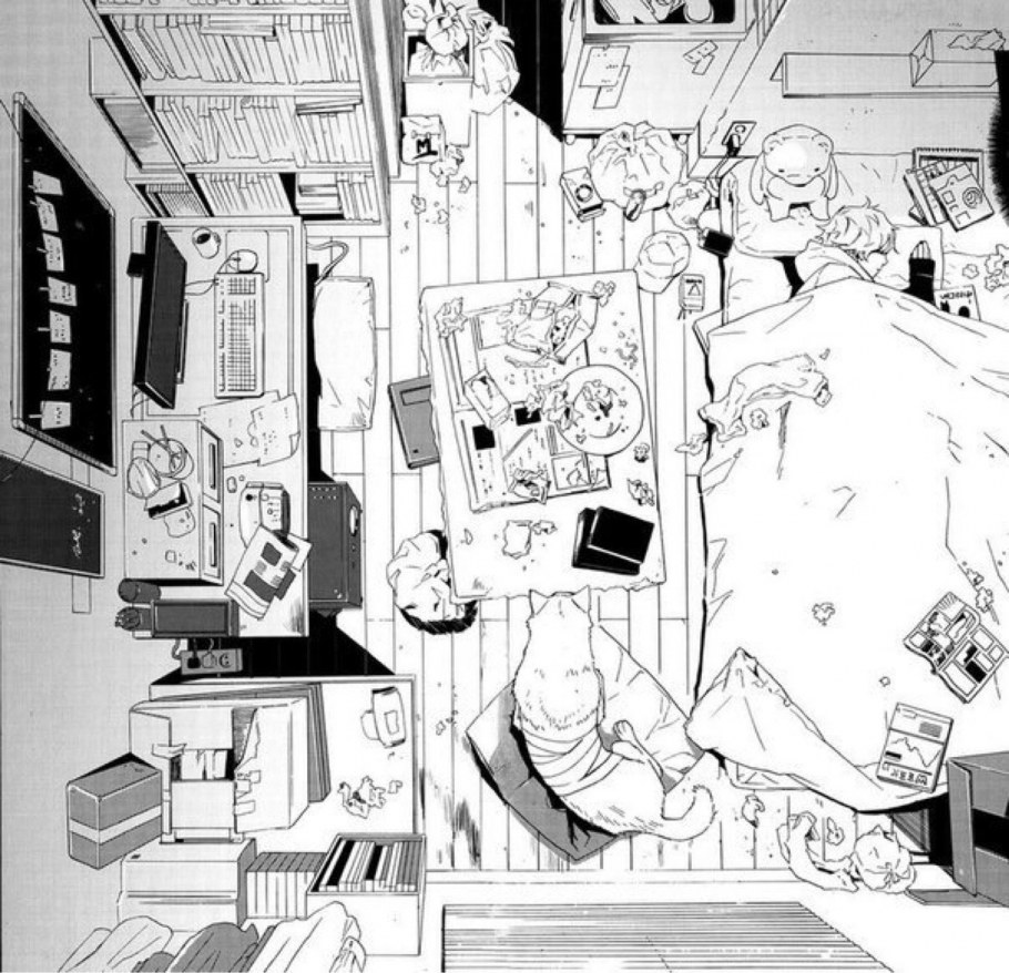 Комната АНИМЕШНИКА