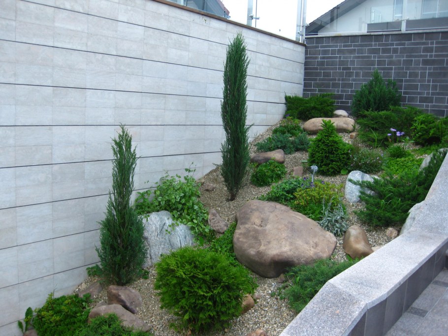 Рокарий у забора с хвойниками