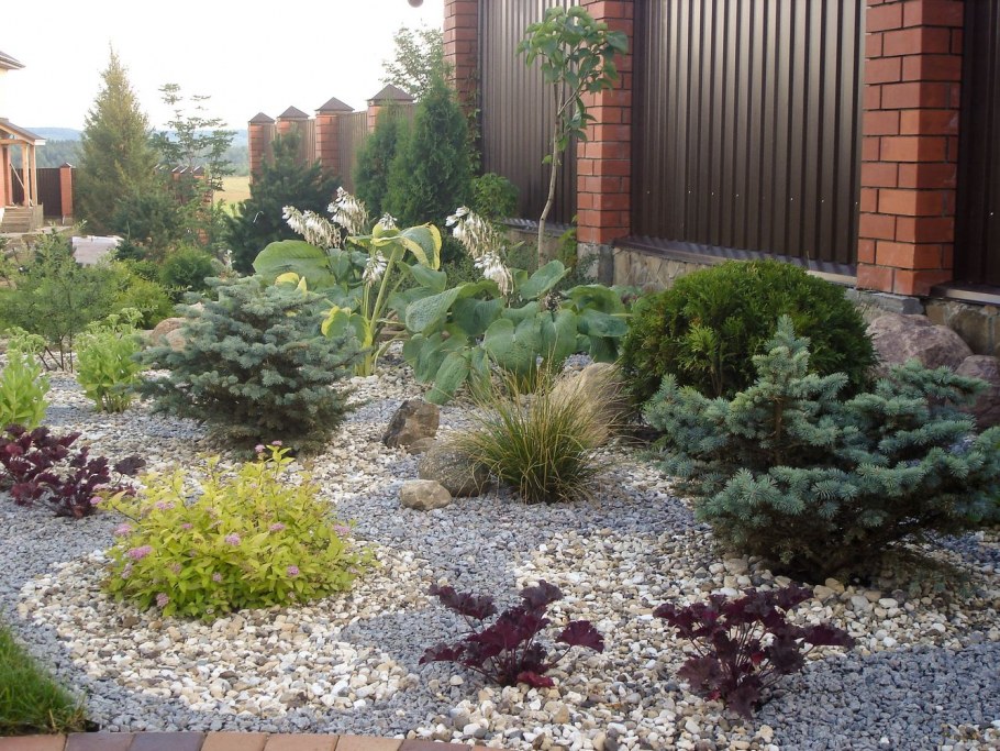 Рокарий вдоль забора