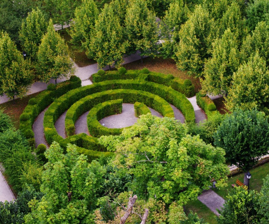 Ракушечник в ландшафте