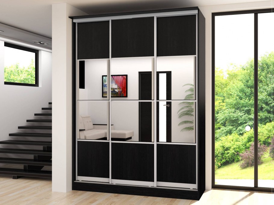 Шкаф купе Рамир 9