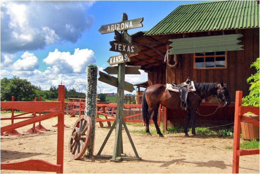 Аванпост Можайск конюшня