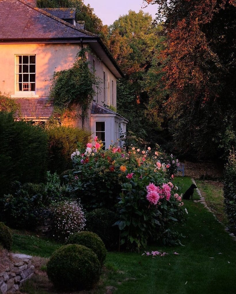 Англия деревня кэмбэлфорд ланшадф садов