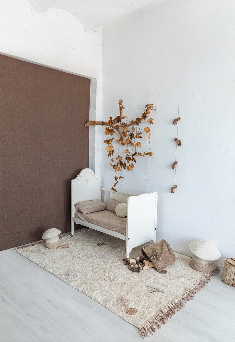 Пихта Нобилис сухоцвет