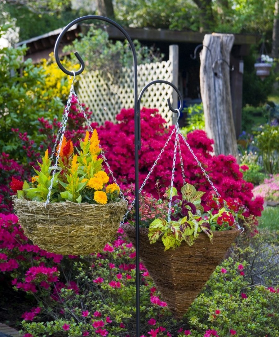 Оригинальные клумбы