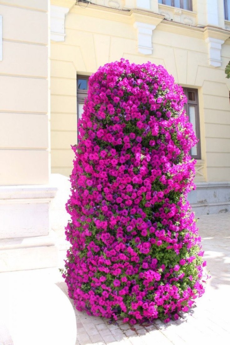 Петуния ампельная Даймонд Роуз Вейн