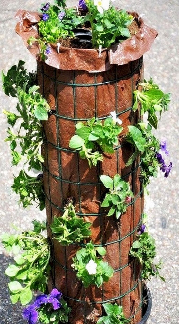 Цветник многоярусный Каскад