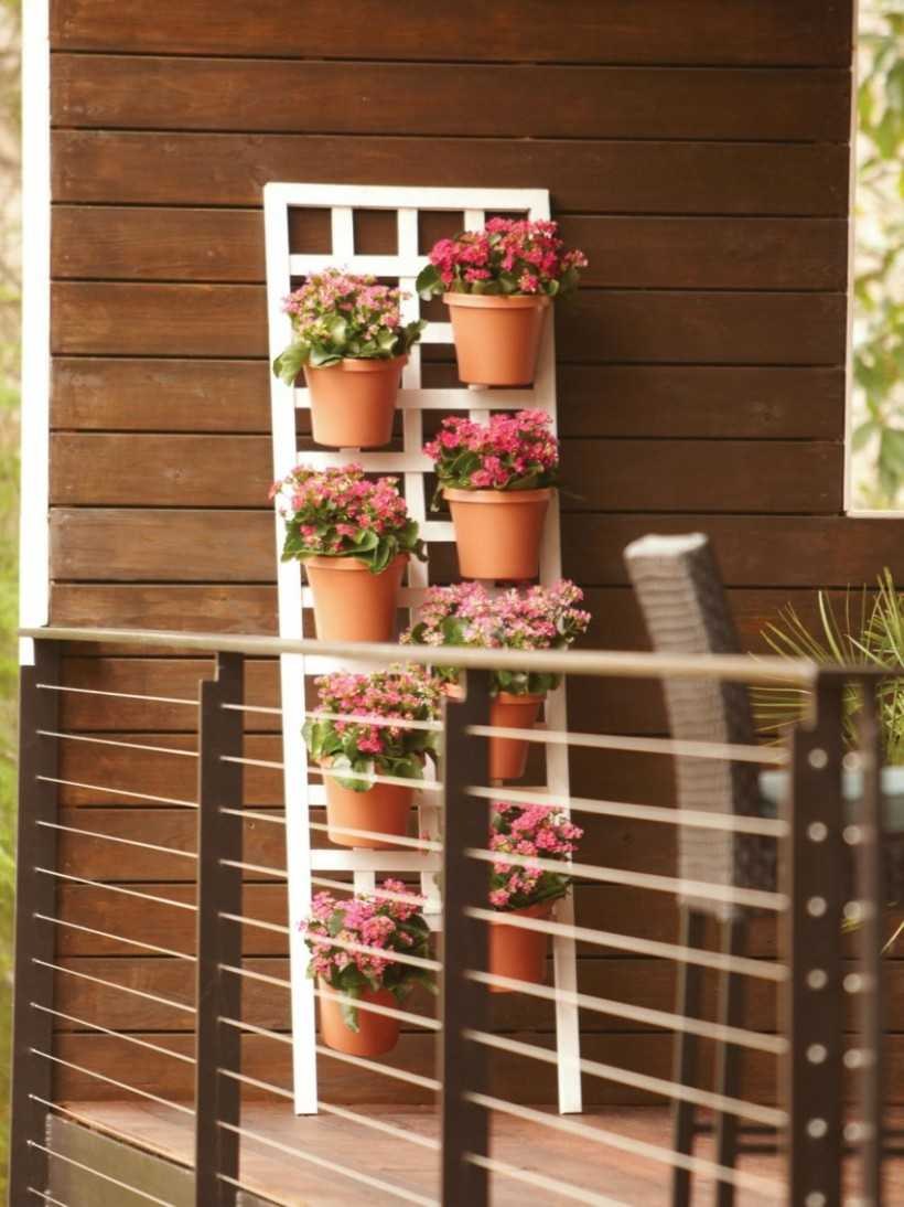 Петунья вертикальная грядка