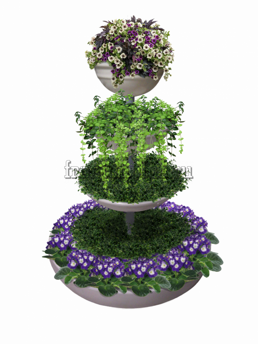 Лора парк вертикальное Озеленение