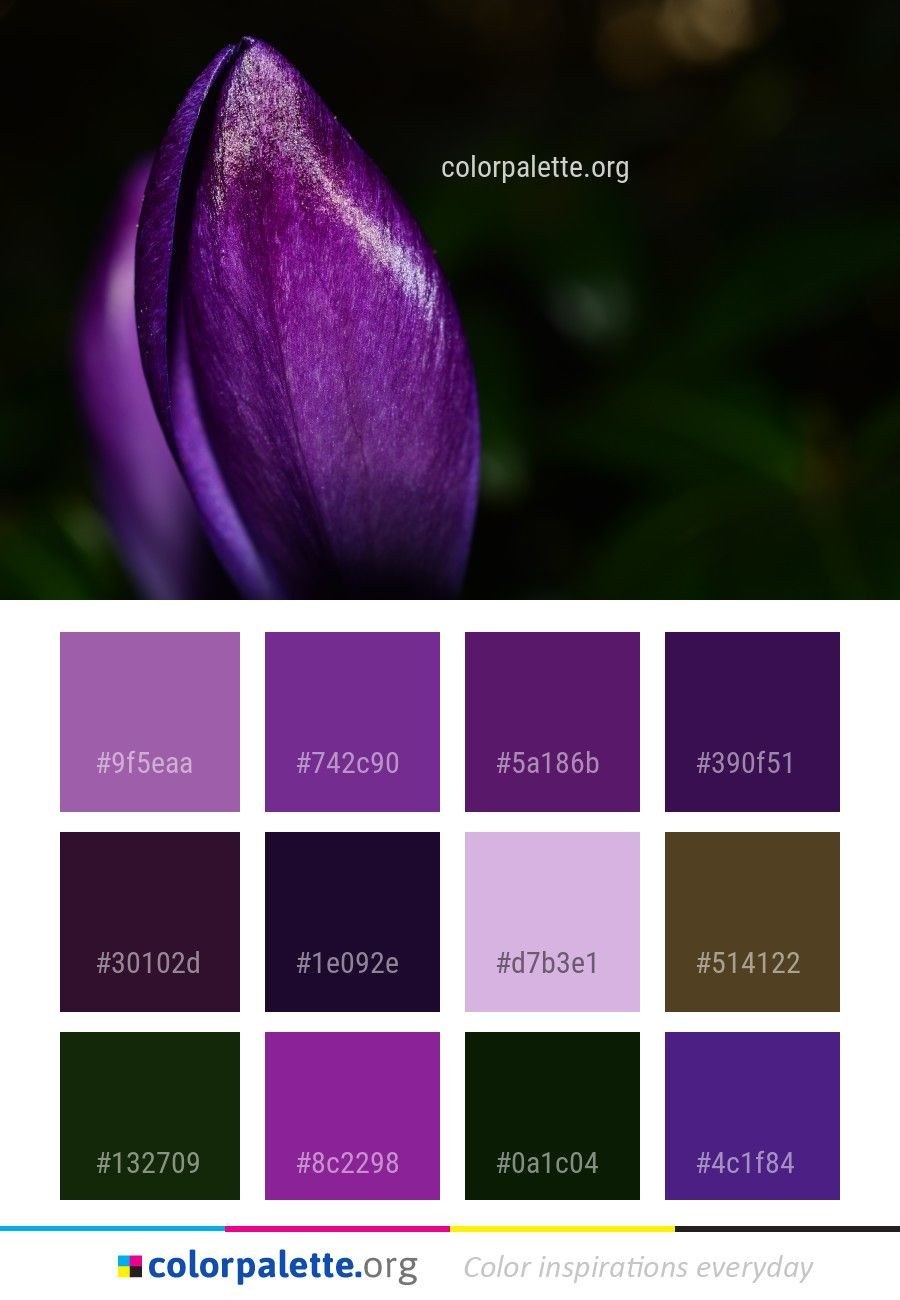 Палитра сиреневых оттенков