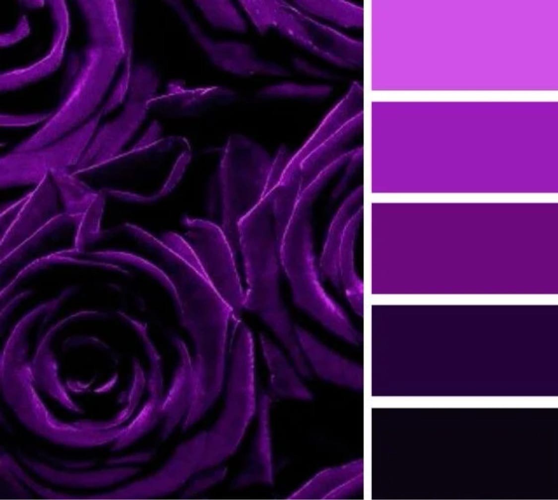 Палитра фиолетового цвета