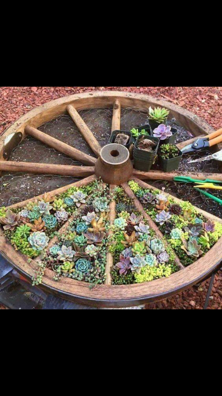 Раскаленные лучи заливают круглую клумбу (76 фото)