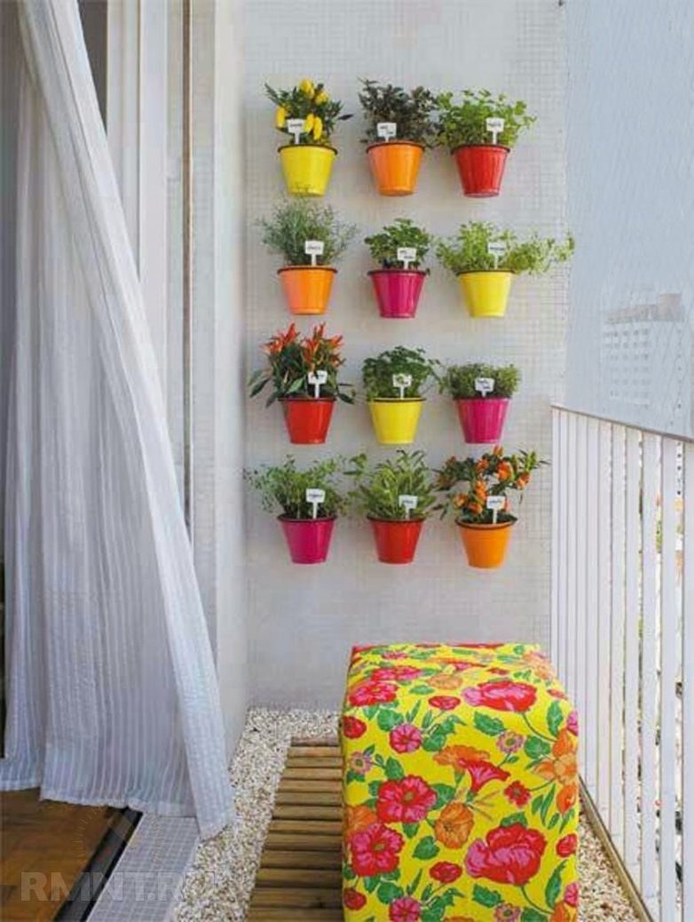 Цветы в доме