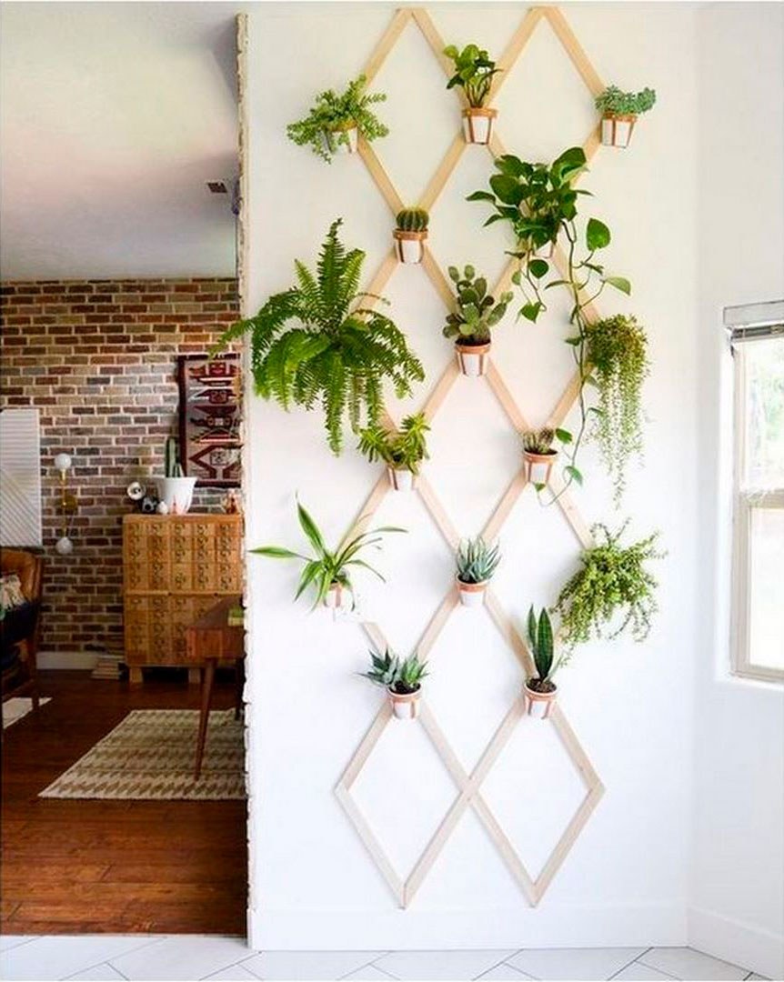 Фитодизайн вертикальное Озеленение