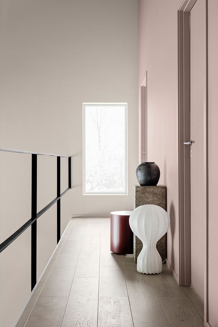 Варианты покраски дома