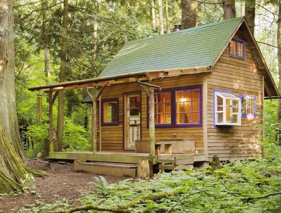 Тини Хаус в лесу