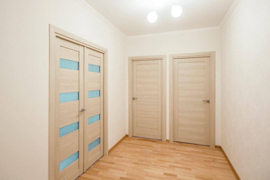 Горизонт 100 дверь