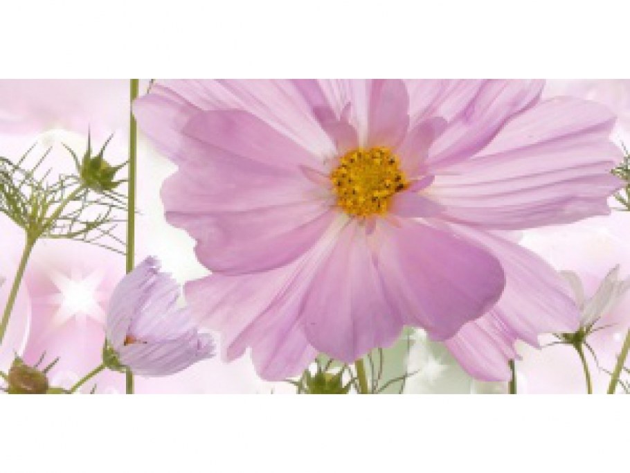 Плитка Тропикана Церсанит