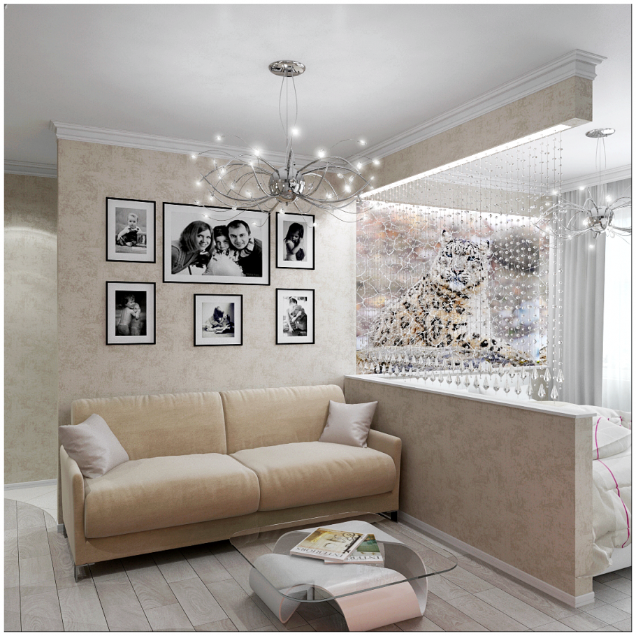 Зонирование однокомнатной хрущевки