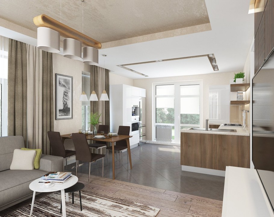 Кухня совмещенная с гостиной в частном доме