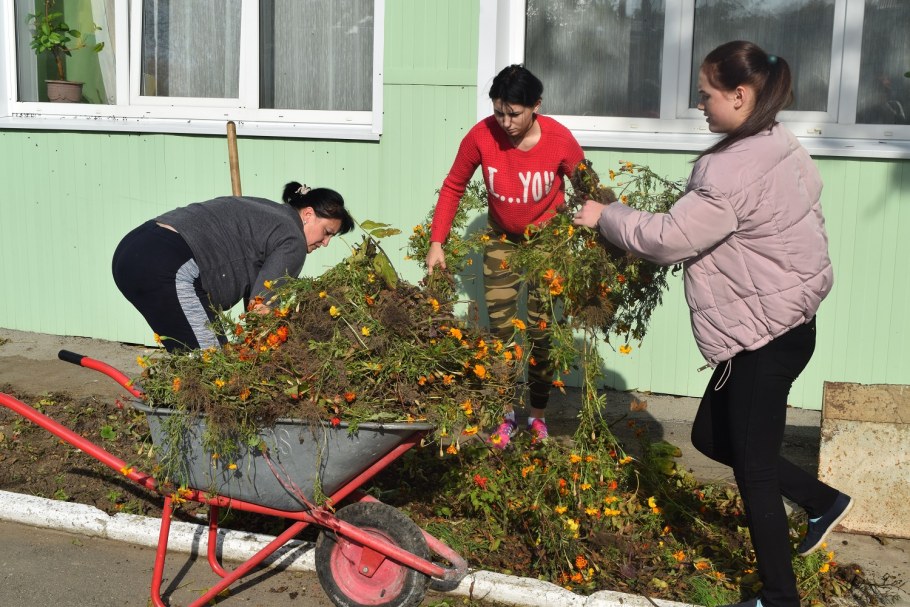 Уборка растительного мусора