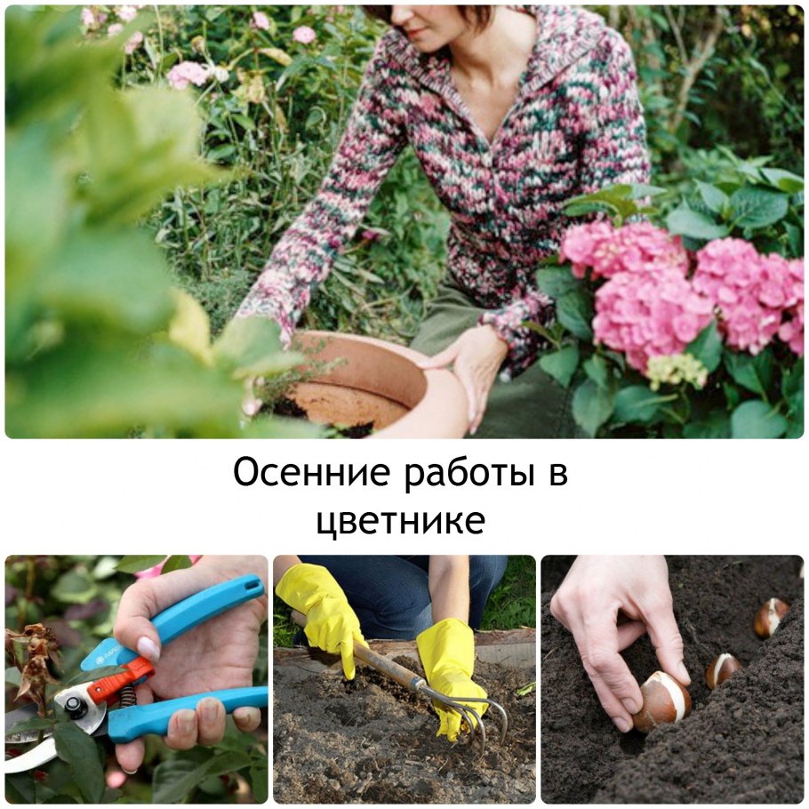 Профессия озеленитель ,цветовод