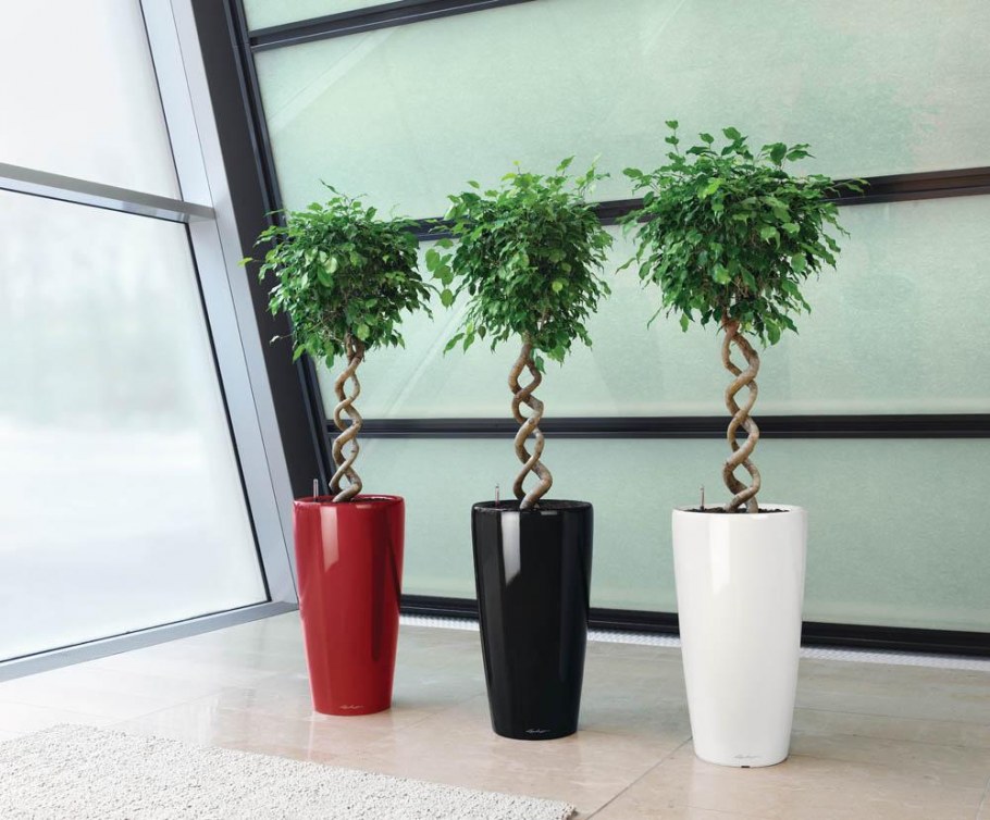 Фейка искусственное растение в горшке фикус Бенджамина экзотика 21 см