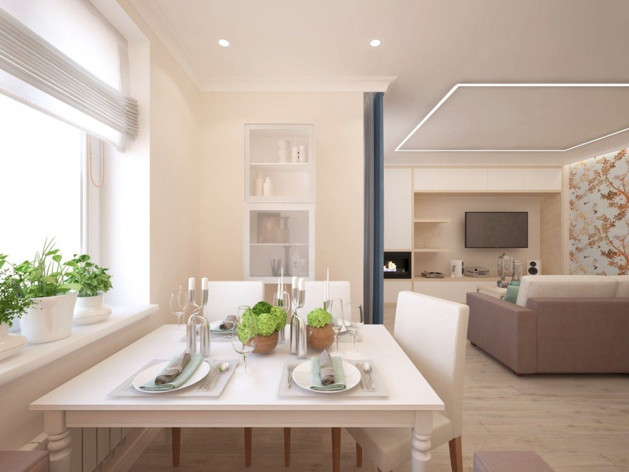 Кухня-гостиная 20 кв.м евродвушка