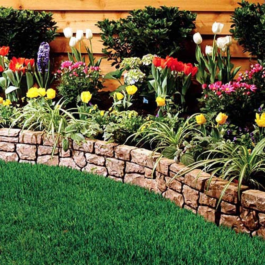 Бархатцы в приствольных кругах плодовых деревьев