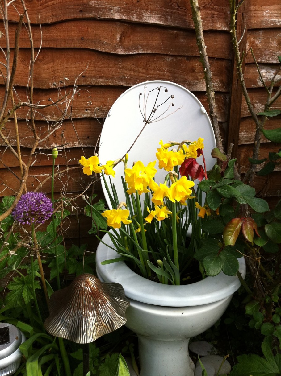 Унитаз клумба на даче