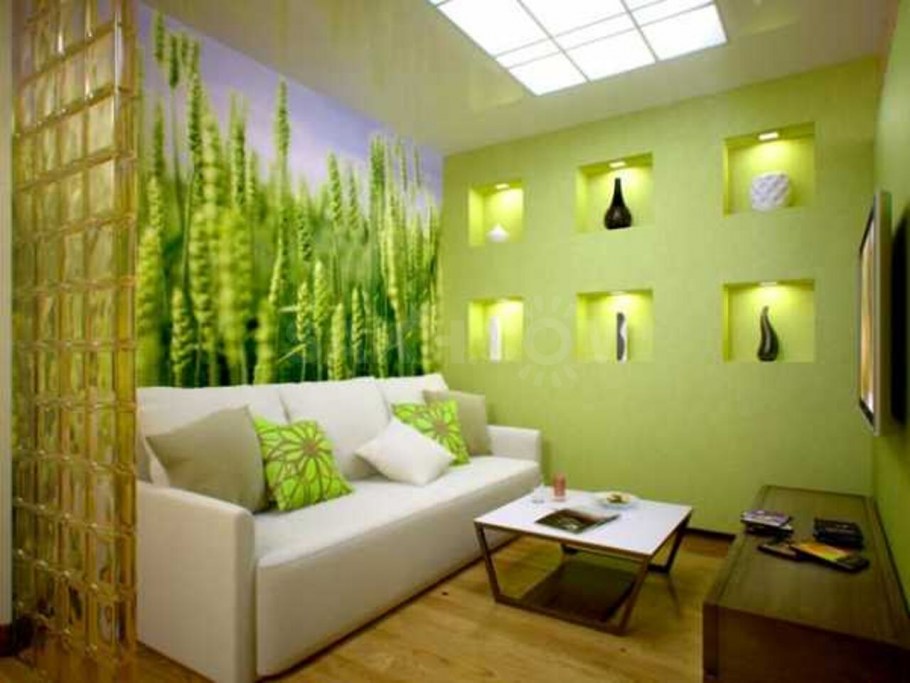 Гостиная в прихожей без окна