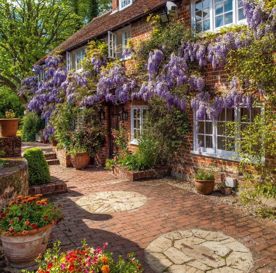 Палисадники в Англии