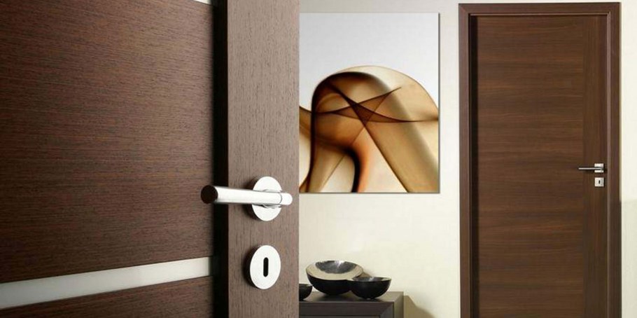 Двери в интерьере