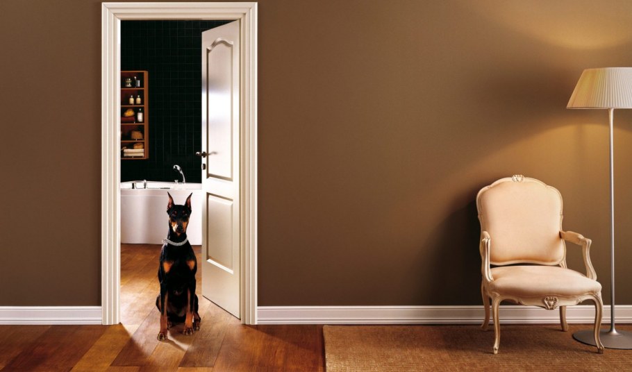 Стена с дверью