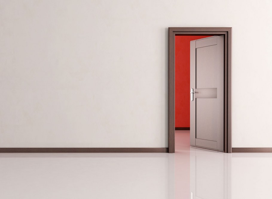 Двери Pol-SKONE