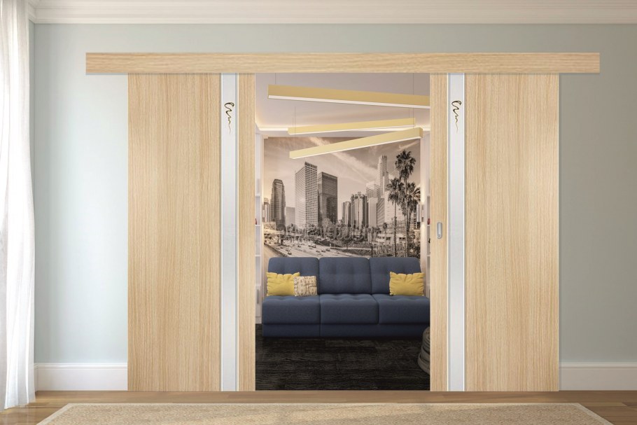 Раздвижные двери в потолок