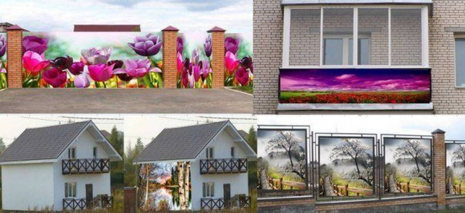 Фотосетка дикий виноград