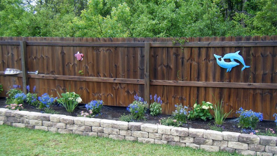 Миксбордер с розами