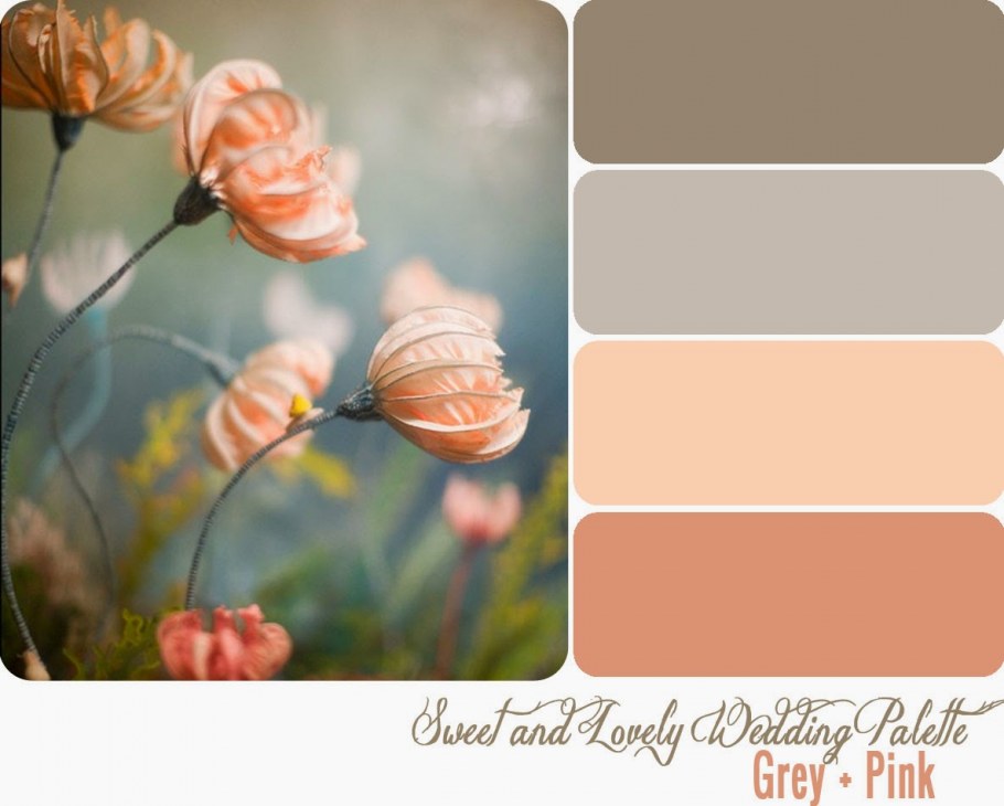 Оранжевые цвета названия