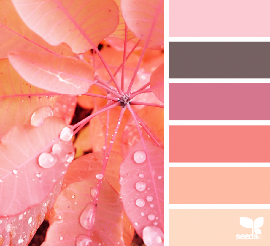 Палитра цветов персиковый