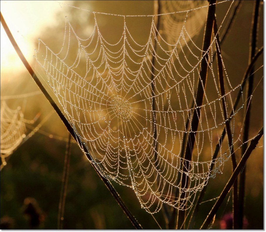 Фотообои 3д