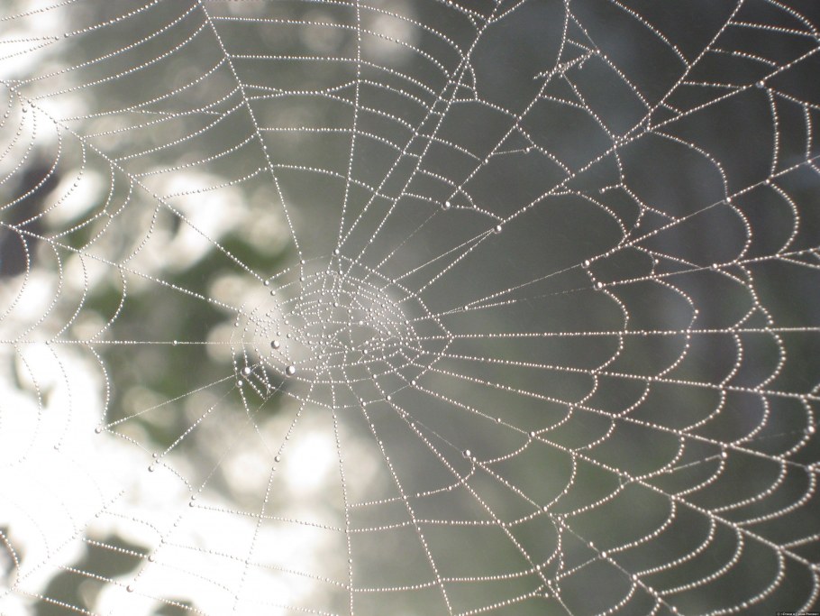 Фотообои стильные