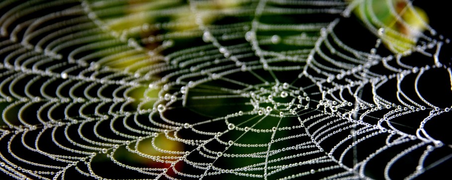 Цветная паутина