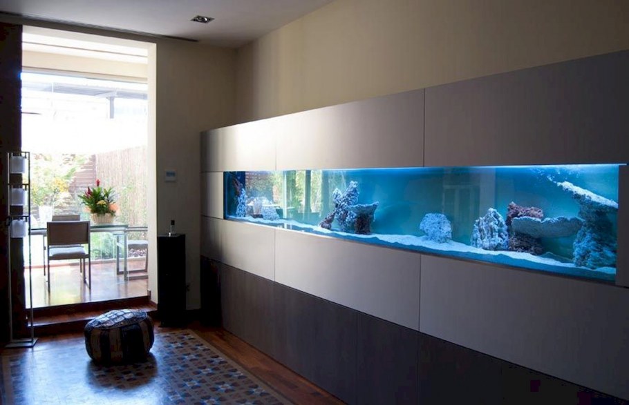 Аквариум в маленькой квартире