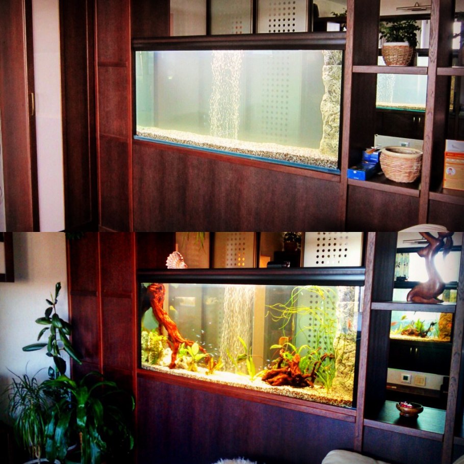 Большой аквариум в интерьере