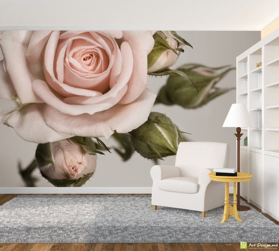 Фотообои чайная роза в интерьере