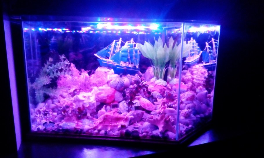 Сухой аквариум