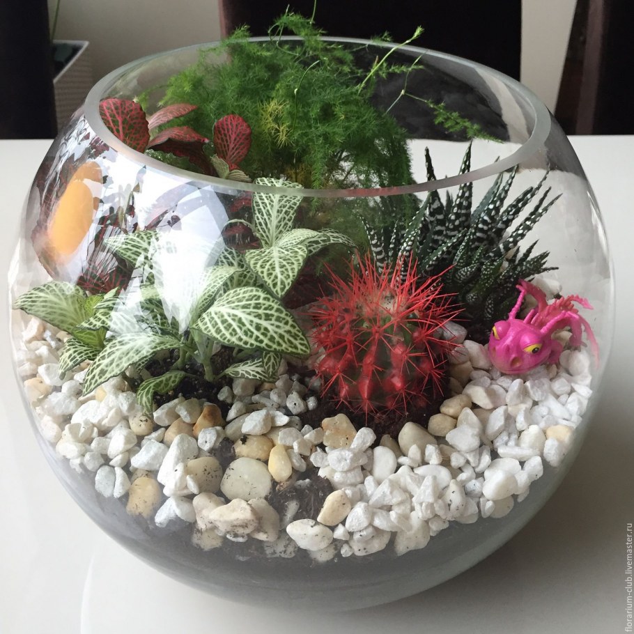 Флорариум в аквариуме