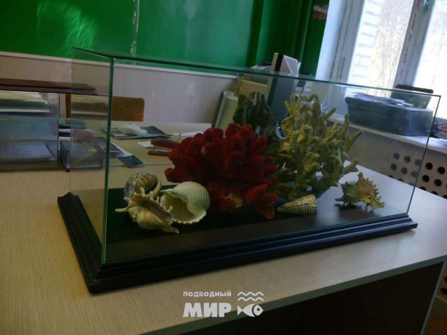 Сухой аквариум на заказ