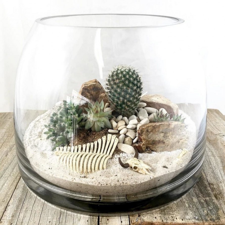 Флорариум с суккулентами